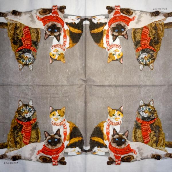 KAT-951 Cats - 3-ply - ppd - Two Can Art